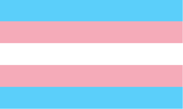 Ir a : Orgullo 2021: por una ley trans