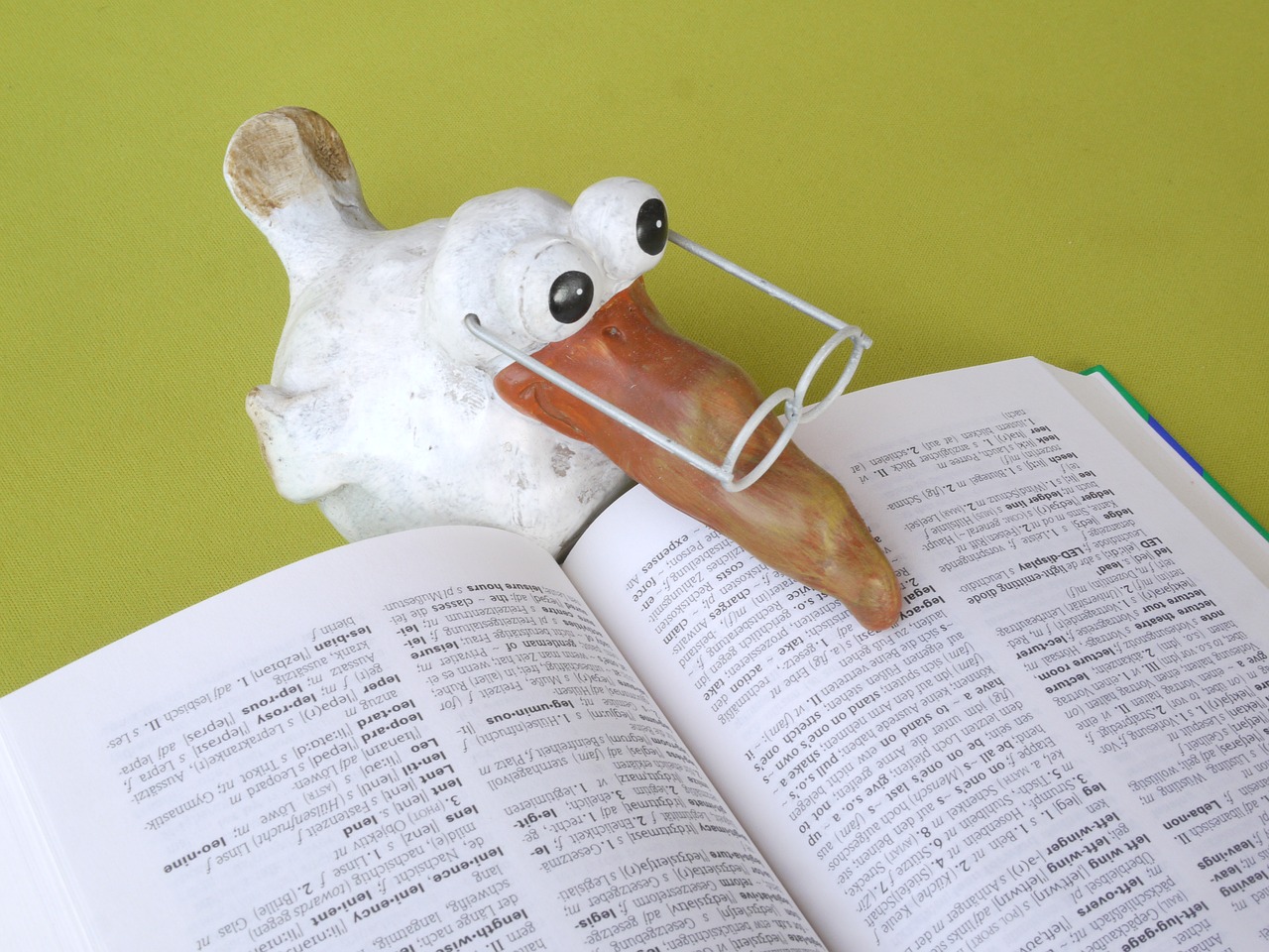 juguete de ave con gafas parece leer un diccionario