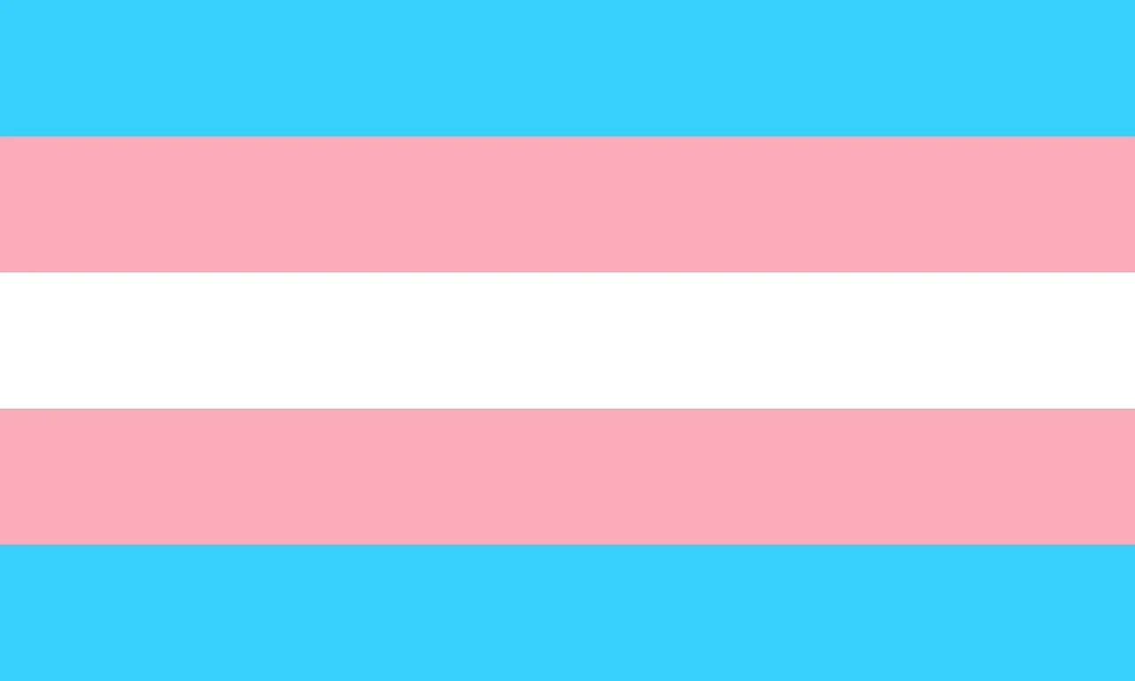 Bandera del orgullo transexual