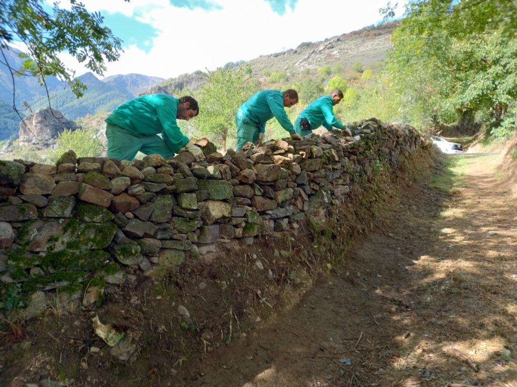 Un equipo de personas rehace un muro de piedras