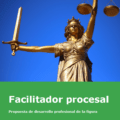 protocolo desarrollo profesional facilitador proceso judicial
