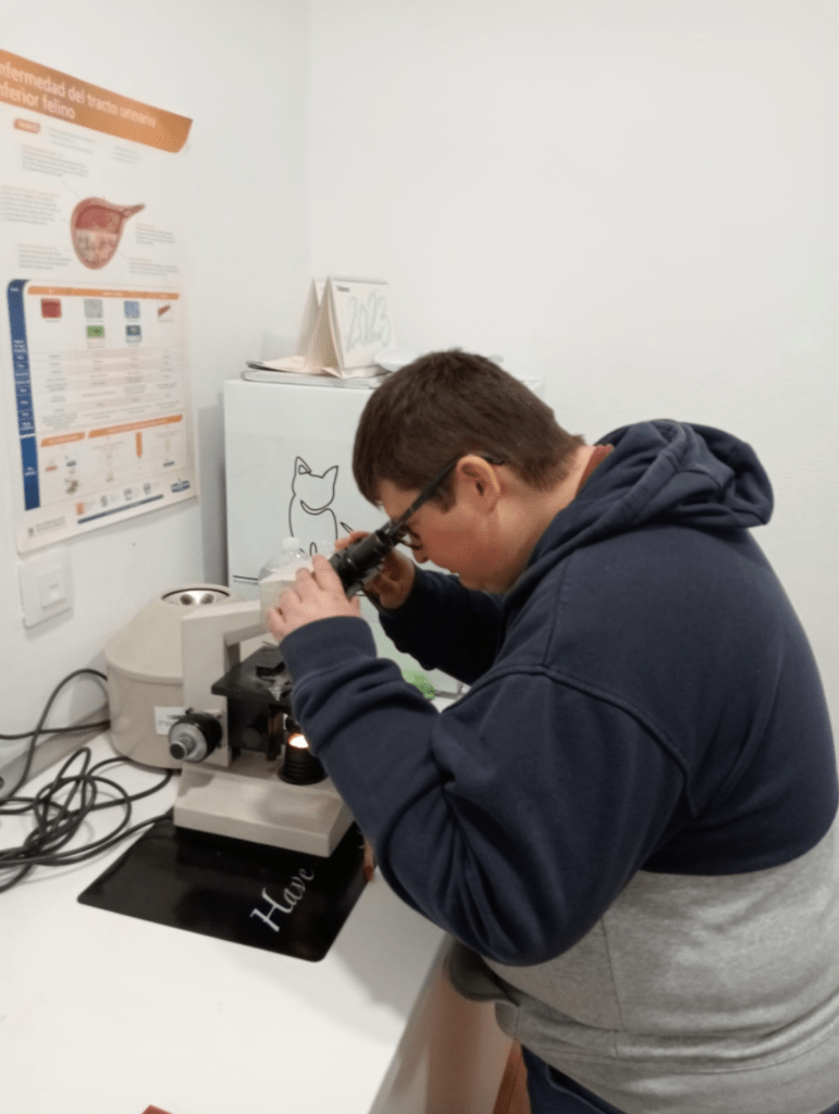 Sergio Barba prueba el microscopio de la clínica veterinaria. Empleo personalizado. Plena inclusión Región de Murcia. ASTRAPACE