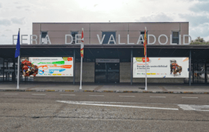 Ir a Congreso Enredando sostenibilidad e inclusión en Valladolid