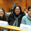 lideresas en el parlamento de las mujeres con discapacidad del senado